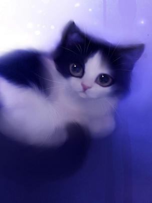 Aesthetic Cute Kitten Animation Wallpapers