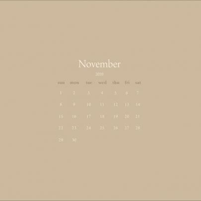 November 2020 - August 2021 Minimalist Desktop Calendar, INSTANT 