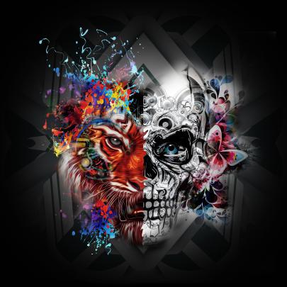 Free download Cool 4K Wallpapers Top Cool 4K Backgrounds 