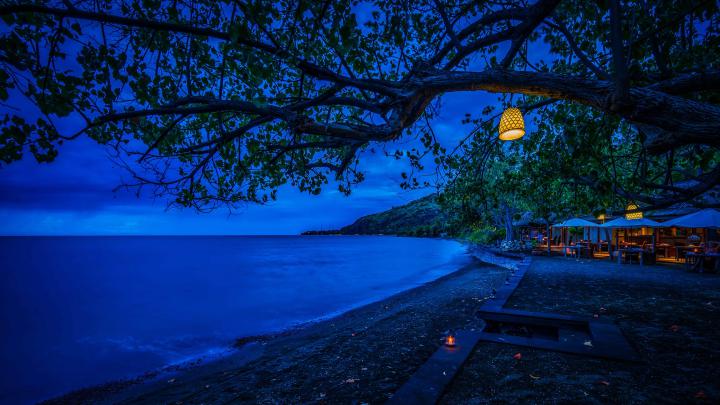 1920x1080 Branches Tree Night Blue Cool Weather Laptop Full HD 1080P HD 