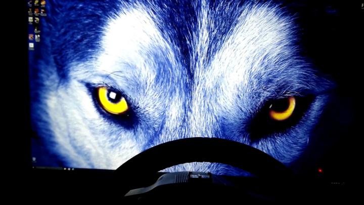 Cool Wolf Wallpapers (59+ images)
