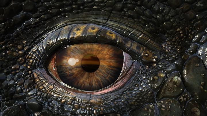 Dragon wallpaper 1920x1080 \u00b7\u2460 Download free cool backgrounds for 