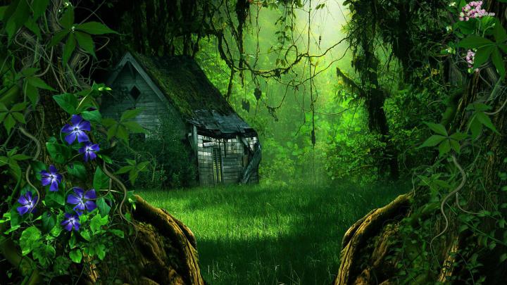 fantasy forest wallpaper[1920x1080] | Forest wallpaper, Fantasy forest 
