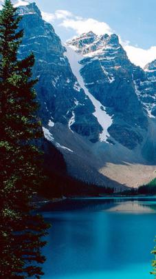 Download Portrait Nature Wallpaper Gallery