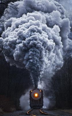 nature, Train, Portrait Display Wallpapers HD \/ Desktop and Mobile 