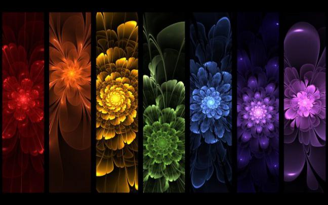 rainbow flowers images - HD Desktop Wallpapers