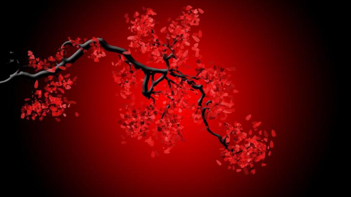 1920x1080 Red And Black Wallpaper For Walls 4 Cool Wallpaper | Red and 