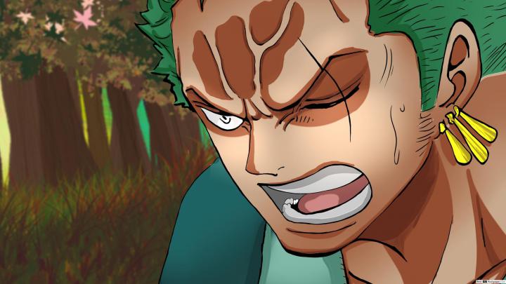 Roronoa Zoro Wallpaper 1920x1080 - 1920x1080 - Download HD Wallpaper 