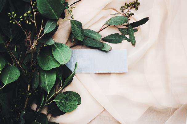 The Skin E: Eucalyptus Oil | Macbook wallpaper, Wallpaper, Desktop 