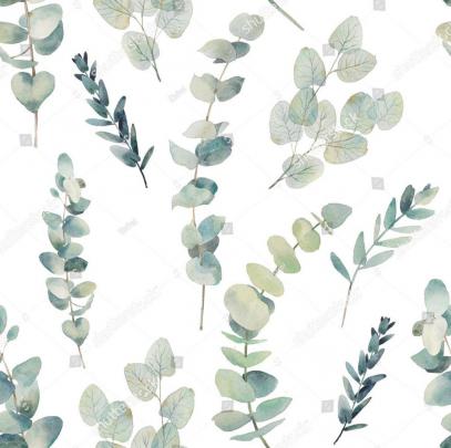 Eucalyptus Wallpapers