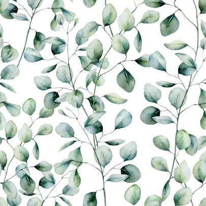 Eucalyptus \u2013 stylish, high-quality wallpaper with fast delivery \u2013 Photowall