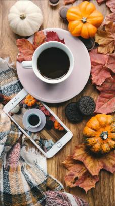Fall Aesthetic Wallpapers - Top Free Fall Aesthetic Backgrounds 