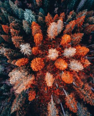 Fall Aesthetic Wallpaper - EnWallpaper