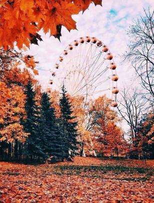Autumn Aesthetic - big wheel with autumn leaves - Idea Wallpapers 