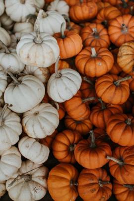 Pinterest Aesthetic Fall Desktop Backgrounds - annacviana