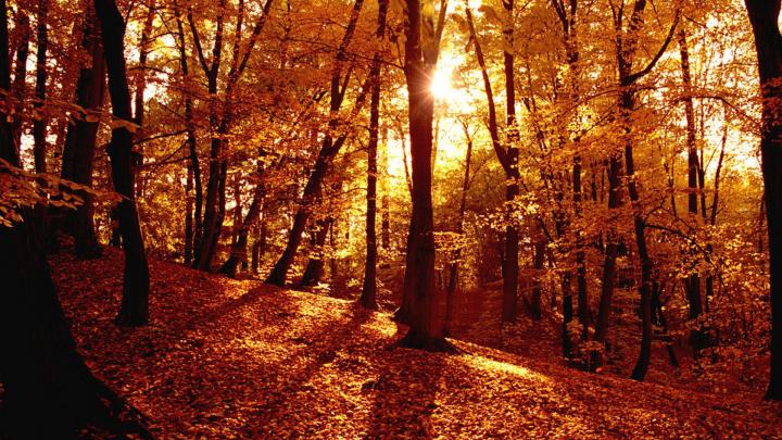 Free Download Best Wallpaper 2019: Autumn Wallpaper Examples for Your 