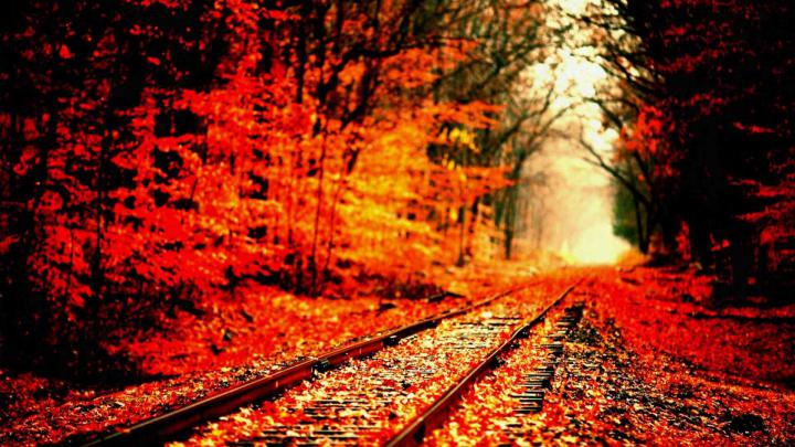 Fall Wallpaper Aesthetic | 3D Wallpapers | Fall wallpaper tumblr, Fall 