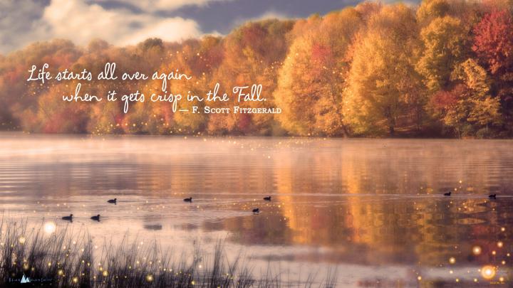 Cozy Fall Desktop Wallpapers - Top Free Cozy Fall Desktop Backgrounds 