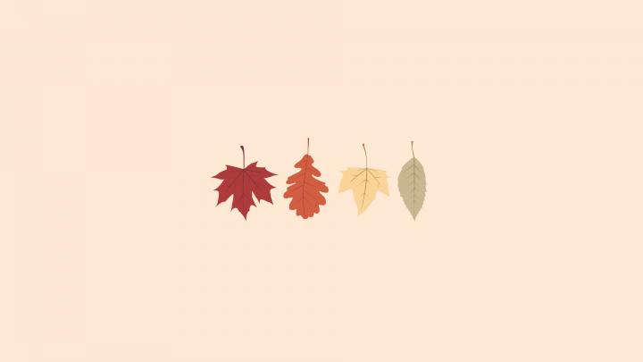 Fall Aesthetic Macbook Wallpapers