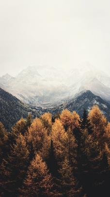 25+ Aesthetic Autumn Desktop Wallpaper - Basty Wallpaper