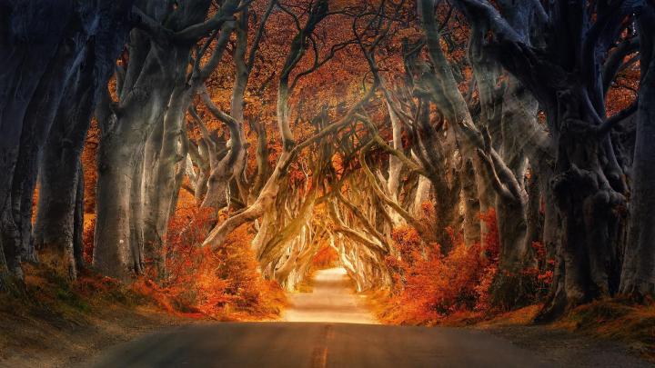 Dark Desktop Backgrounds Dark Fall Aesthetic Wallpaper - Wallpaper HD New