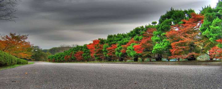 Dual Monitor Autumn Wallpapers - Top Free Dual Monitor Autumn 