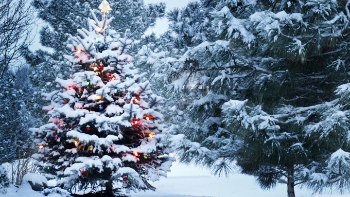 4K Christmas wallpapers - HD wallpaper Collections - 4kwallpaper.wiki