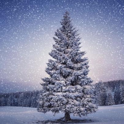 Wallpaper 4k Christmas - Wallpaper Collection