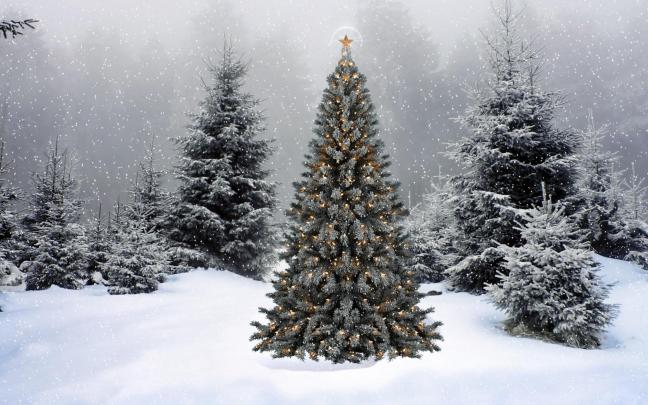 [45+] 4K Christmas Wallpaper 