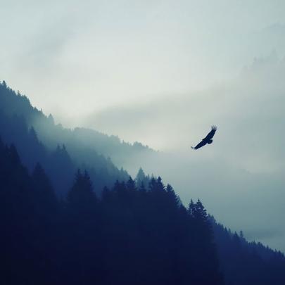20 4K iPad Wallpapers