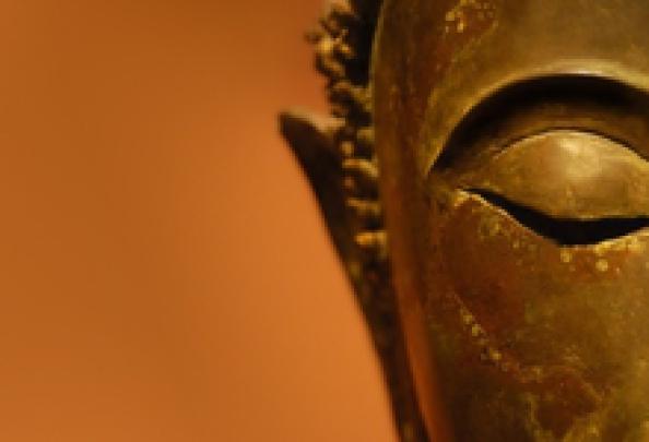 buddha lotus flower 1317x864 wallpaper High Quality Wallpapers,High 