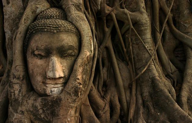 Nature Buddha Wallpapers - Top Free Nature Buddha Backgrounds 