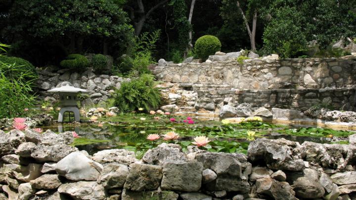 Download Wallpaper 1920x1080 stones, pond, china, garden, water-lilies 