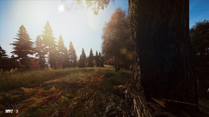 Dayz Wallpapers (84+ background pictures)