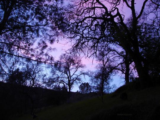 Gothic Desktop Backgrounds (53+ images)
