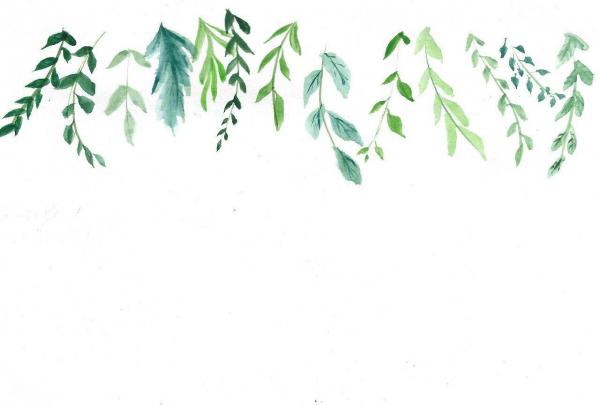 Eucalyptus Desktop Wallpapers - Top Free Eucalyptus Desktop Backgrounds 