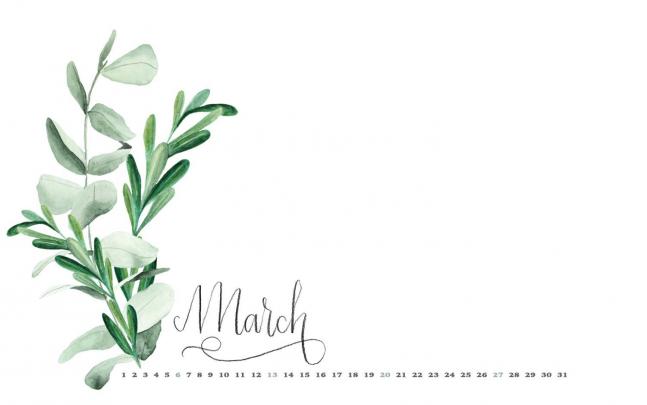 Eucalyptus Desktop Wallpapers - Top Free Eucalyptus Desktop Backgrounds 