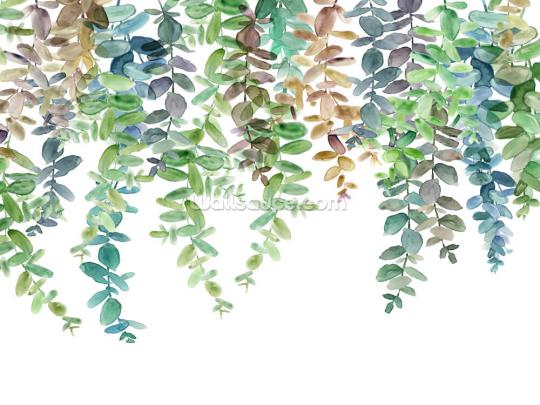 Hanging Eucalyptus Wallpaper | Wallsauce CA