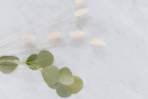 Minimal Eucalyptus Desktop Wallpaper - Cerca Wallpaper
