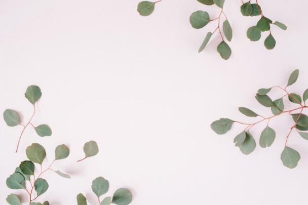 Free \u0026 Premium Stock Photos - Canva