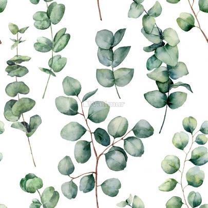 Eucalyptus Desktop Wallpaper Hd - le-blog-de-bebere