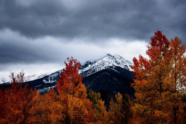 Aesthetic Fall Wallpapers