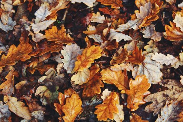 Laptop Aesthetic Fall Wallpapers