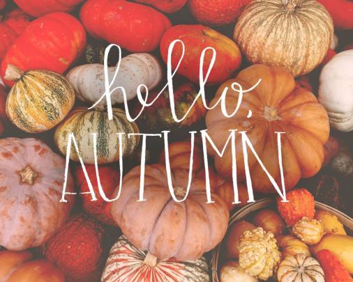 Aesthetic Thanksgiving Desktop Wallpapers