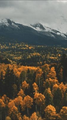Fall Aesthetic Wallpapers