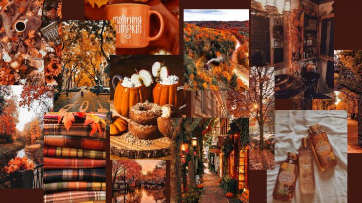 Fall aesthetic mac wallpaper | Desktop wallpaper fall, Halloween 