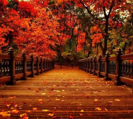 HD Cozy Aesthetic Fall Macbook Wallpaper Download