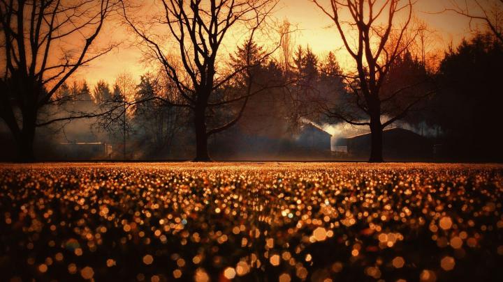 Fall Aesthetic Desktop Wallpapers - Top Free Fall Aesthetic Desktop 