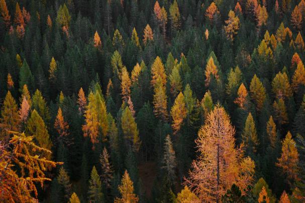 Fall Aesthetic Macbook Wallpapers