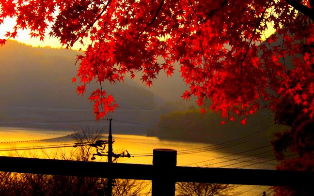 Fall desktop Backgrounds